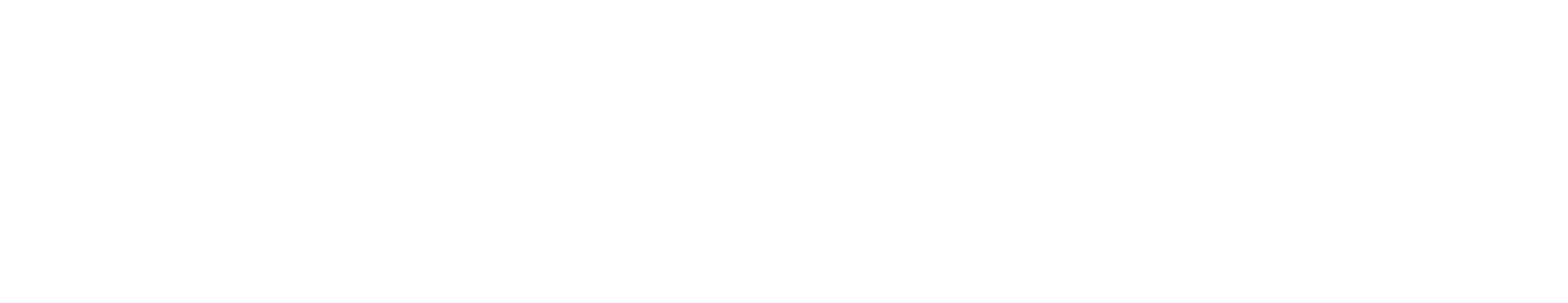 Riverpoint Development Services